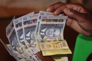 Bet money
